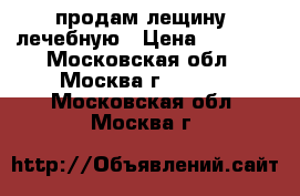 продам лещину  лечебную › Цена ­ 2 500 - Московская обл., Москва г.  »    . Московская обл.,Москва г.